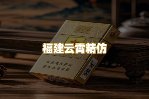 福建云霄精仿